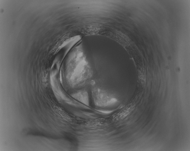 X0000067870818200605111757