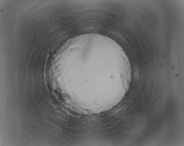 X0000067870819200605111757