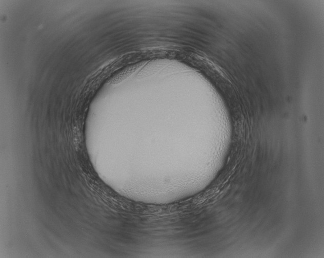 X0000067870821200605111757