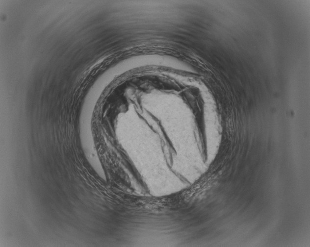 X0000067870822200605111757