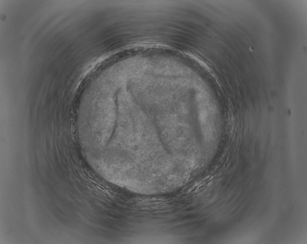 X0000067870823200605111757