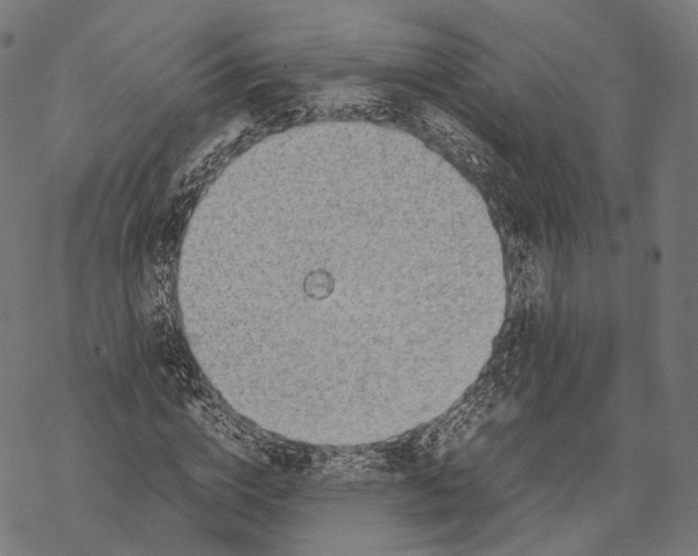 X0000067870824200605111757