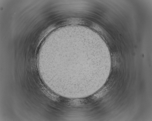 X0000067870828200605111757