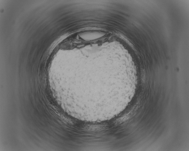 X0000067870829200605111757