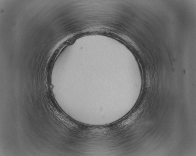 X0000067870830200605111757