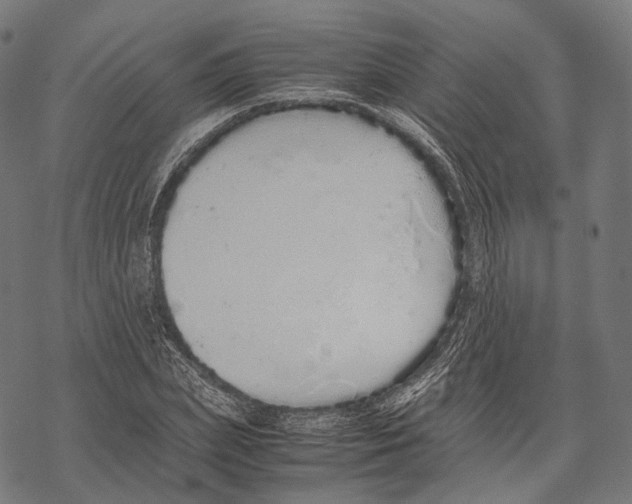 X0000067870831200605111757