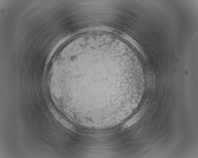 X0000067870832200605111757