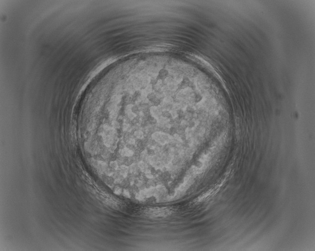 X0000067870835200605111757