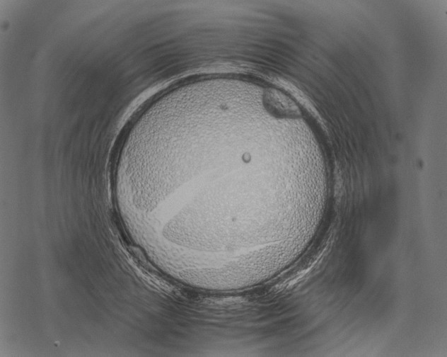 X0000067870837200605111757