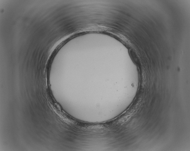 X0000067870838200605111757