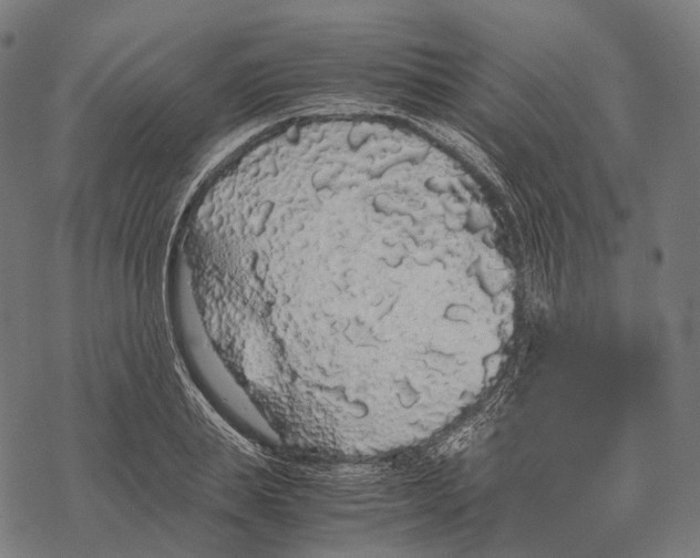 X0000067870839200605111757