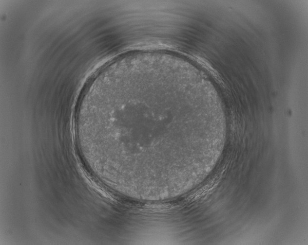 X0000067870840200605111757