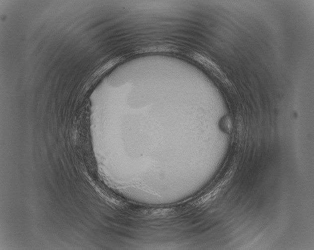 X0000067870841200605111757