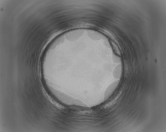 X0000067870843200605111757