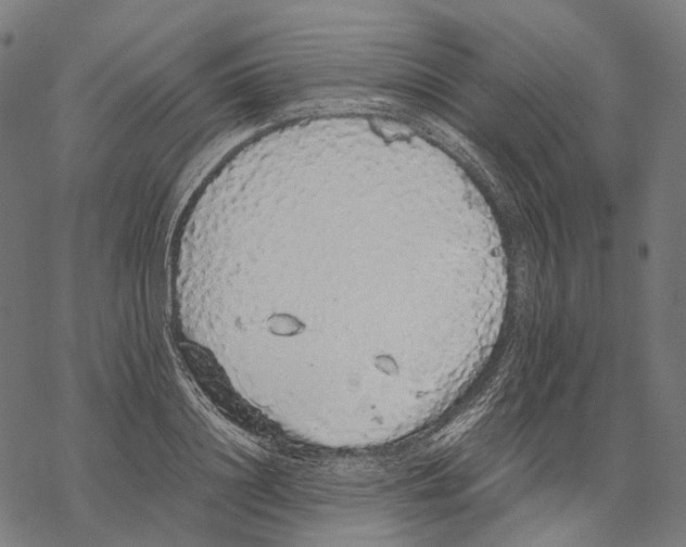 X0000067870844200605111757