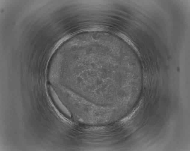 X0000067870845200605111757