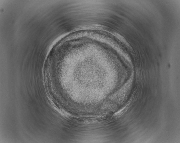 X0000067870846200605111757