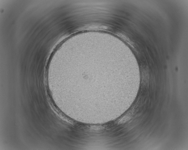 X0000067870848200605111757