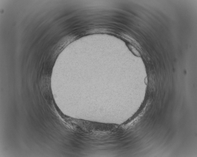 X0000067870849200605111757