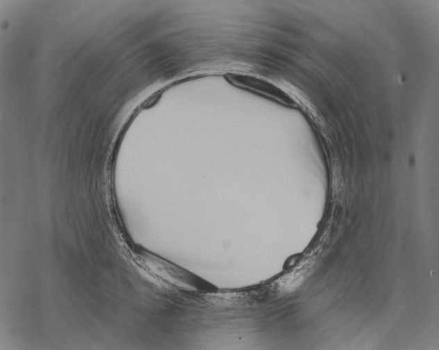 X0000067870854200605111757