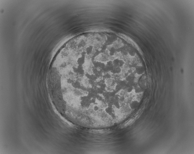 X0000067870855200605111758