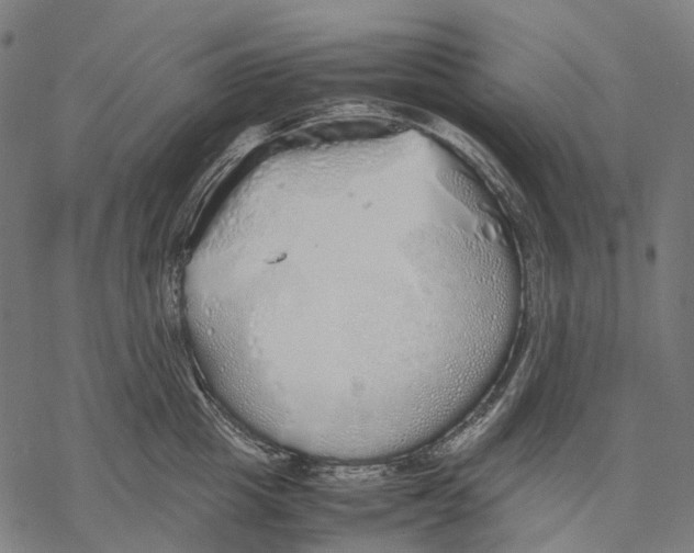 X0000067870857200605111758