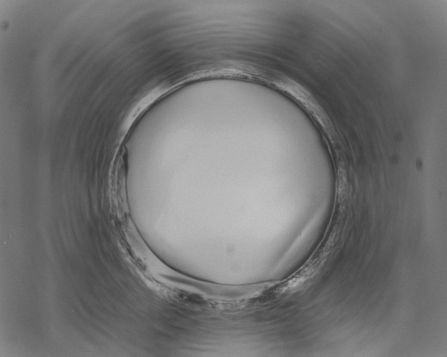 X0000067870858200605111758