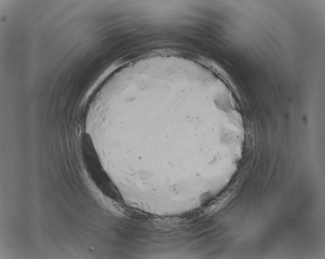 X0000067870859200605111758