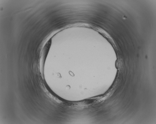 X0000067870860200605111758