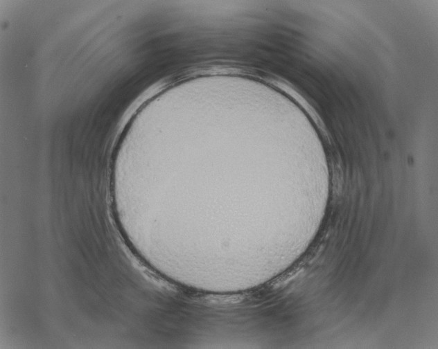 X0000067870861200605111758