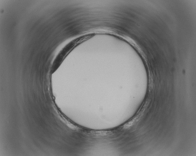 X0000067870862200605111758