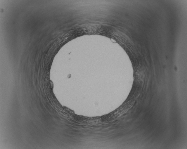 X0000067870865200605111757