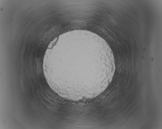 X0000067870866200605111757