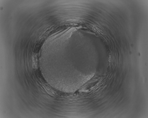 X0000067870868200605111757