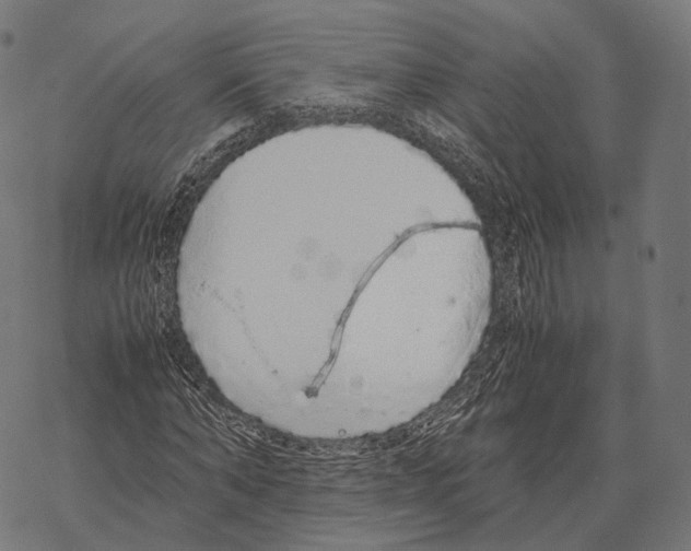 X0000067870870200605111757