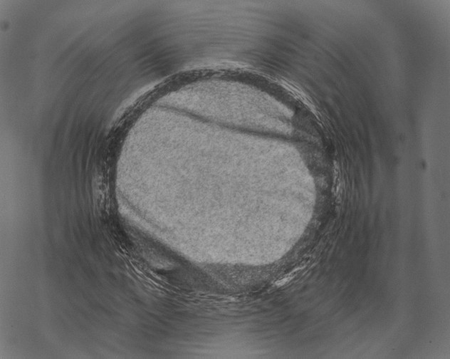 X0000067870872200605111757