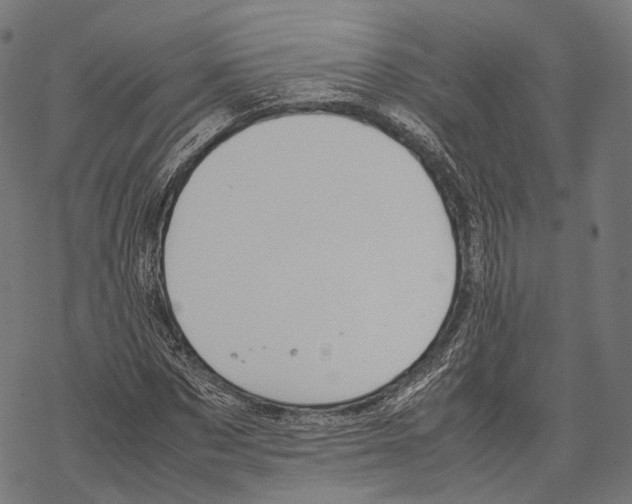 X0000067870873200605111757