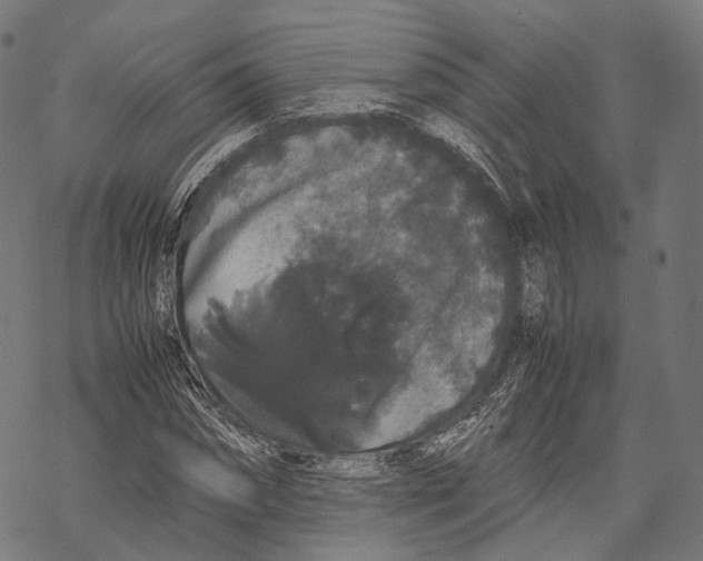 X0000067870874200605111757