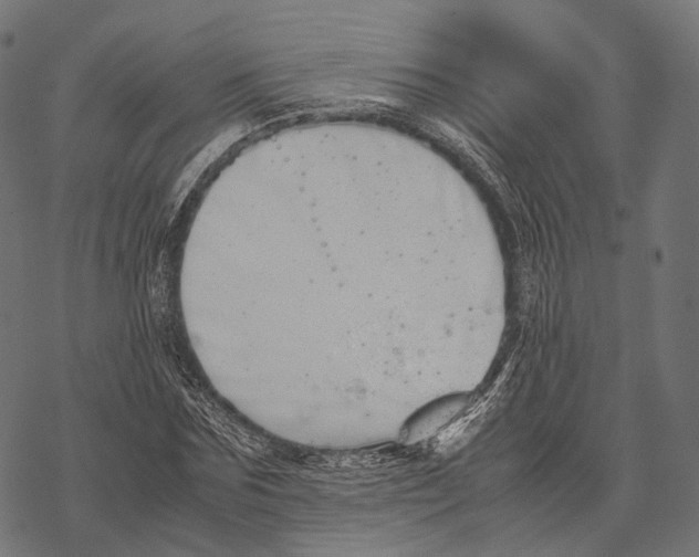 X0000067870875200605111757