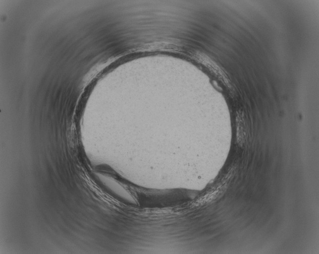 X0000067870876200605111757