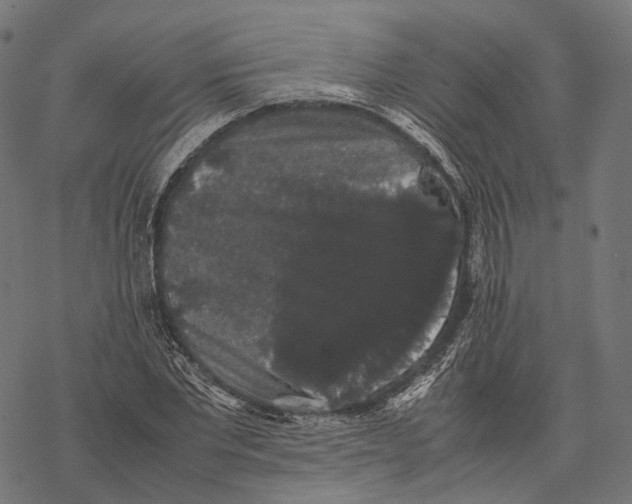 X0000067870877200605111757