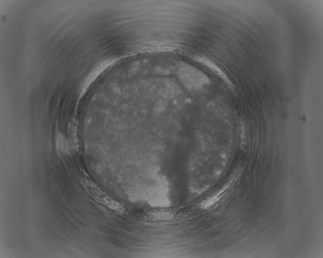 X0000067870878200605111757