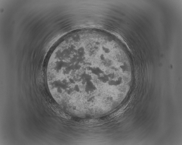 X0000067870879200605111757