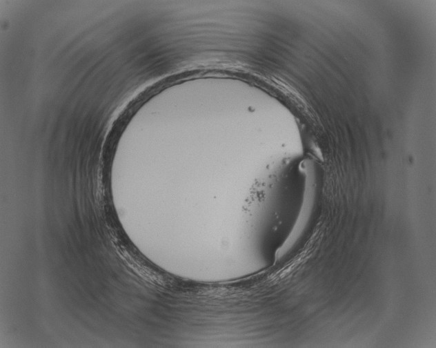 X0000067870880200605111757