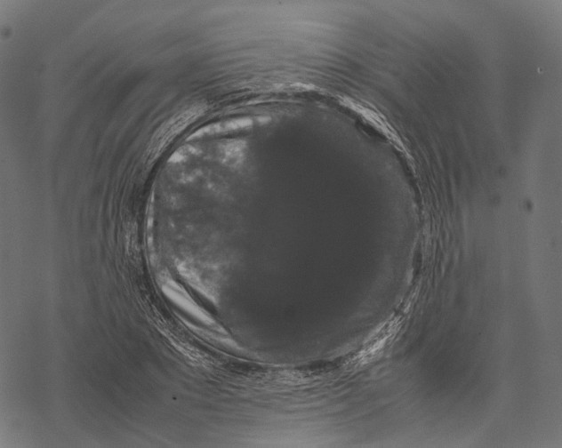 X0000067870881200605111757