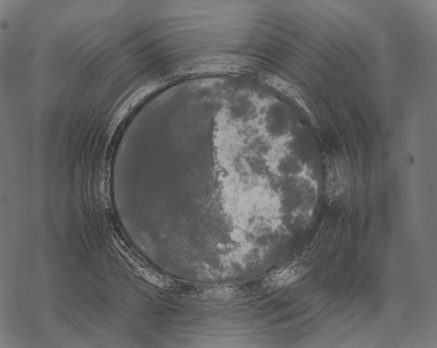 X0000067870882200605111757