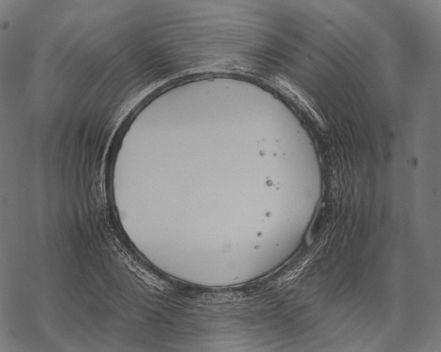 X0000067870884200605111757