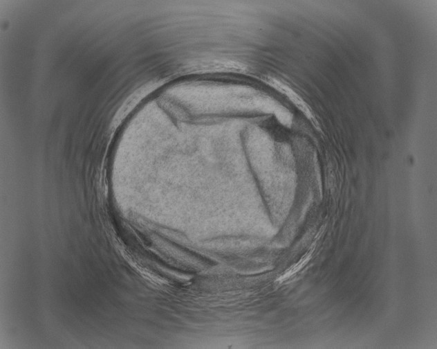 X0000067870885200605111757