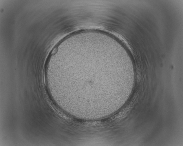 X0000067870887200605111757