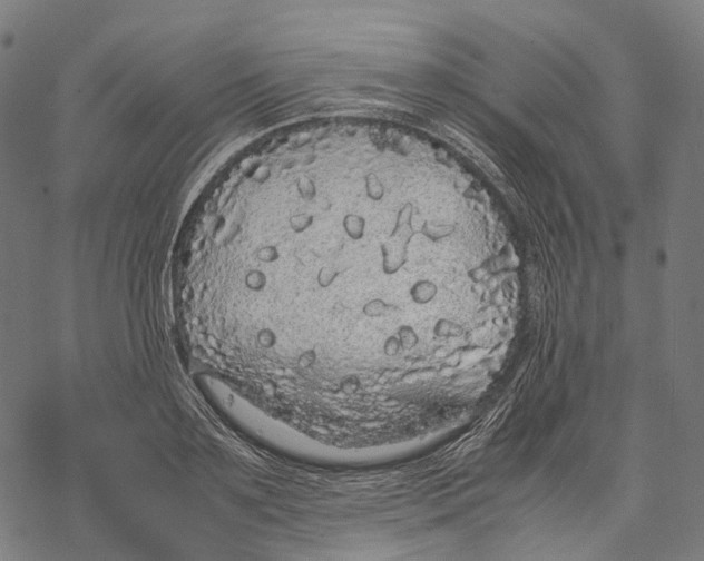 X0000067870891200605111756